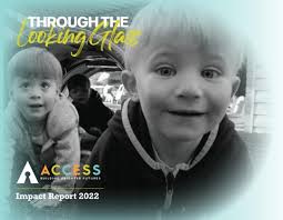 2022 ACCESS Impact Report: Through the Looking Glass by ACCESS Group, Inc. 