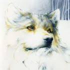 Leiterstuhl Aus Massivholz Kirschfarben Laubmann Kochen Geniessen Schenken Buchenholz Holz Trittleiter