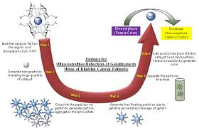 As cancer grows into or through the other layers in the bladder wall, it transitional cell carcinoma occurs in the cells that line the inside of your bladder. Diagnosing Bladder Cancer Made Inexpensive Sensitive And Non Invasive Advanced Science News