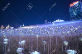 Seoul Korea Dec 7 2018 Led Rose Garden At Dongdaemun Design Stock Photo Picture And Royalty Free Image Image 135909676