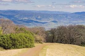 Maybe you would like to learn more about one of these? 17 Unique Things To Do In Santa Rosa In 2021