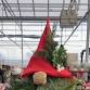 Greenery Gnomes Workshop event image