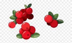 Red Fruit Clipart Png Cranberry Juice Clip Art Transparent Png 211172 Pikpng Common grape vine cranberry juice food, grape transparent background png clipart. red fruit clipart png cranberry juice