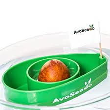We did not find results for: Amazon Com Avoseedo Bowl Grown Your Own Avocado Tree Evergreen Perfect Avocado Tree Growing Kit For Every Avocado Lover 3 Pack All Green Garden Outdoor