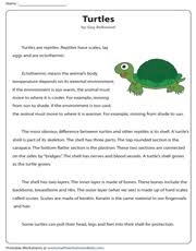4th grade reading comprehension worksheets