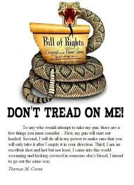 Don T Tread On Me With Images Dont Tread On Me Bill Of Rights Let Freedom Ring