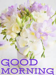 Pin By Vinayak Shetty On Good Morning Beautiful Flowers Photos Beautiful Flowers Freesia Flowers