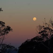 Kari Sherman (@ksphotographysh) • Instagram photos and videos