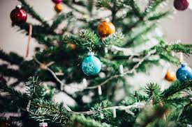 Am nächsten morgen gibt es feierliches essen. Weihnachtsbaum Upcycling Alte Christbaume Nutzen Geo