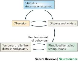 Letter count is a 100% pardon online atmosphere include a calculator that's available. Obsessive Compulsive Disorder An Integrative Genetic And Neurobiological Perspective Nature Reviews Neuroscience