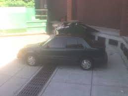 Image result for Wildberry 1993 Shadow