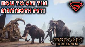 Conan Exiles How To Tame A Mammoth What To Feed The Elephant Calf To Get The Mammoth Pet Youtube