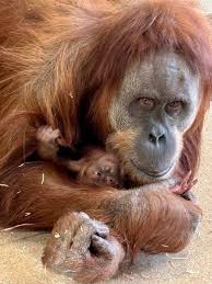 Indianapolis Zoo added a new photo.