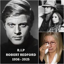 Heartbreaking reaction goes viral