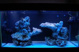 For that you must take care with the size and shape of the substrate's particles. Show Off Your Island Style Aquascape Reef Tank Aquascaping Reef Aquarium Saltwater Fish Tanks