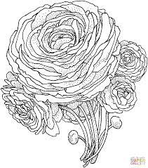 Search through 52298 colorings, dot to dots, tutorials and silhouettes. Pin On Printable
