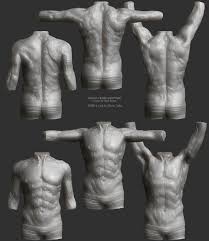 Feb 02, 2019 · the oblique muscles run along the sides of your torso, and there are two sets: Artstation Anatomy Study Muscles Motion Male Torso Olivier Cefai