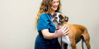 8345 wornall road, kansas city, mo 64114, us. Flat Rock Animal Hospital Veterinarian In Flat Rock Nc