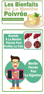 Les Bienfaits De La Menthe Poivree Menthe Poivree Food Health Health Fitness