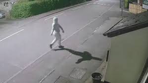 CCTV cameras captured a dreadlocked suspect firing shots at DJ ...