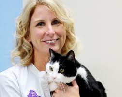 Care & Comfort Veterinary Hospital