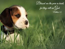 Pin On Bible Quoted Pics Bible Verses