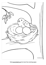 If you live in an especially hot climate, like the south, here are cooling bluebird house plans designed to draw air in and keep nestlings cool on hot days. Bird Nest Coloring Pages Free Birds Coloring Pages Kidadl