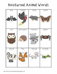 A page for describing ymmv: Writing Center Word Lists Nocturnal Animal Words Animal Lessons Nocturnal Animals Activities Nocturnal Animals Kindergarten
