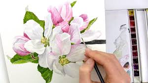 Painting watercolor flowers youtube tags : Video Tips How To Paint Flowers Botanical Art Artists