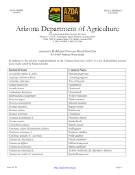 Image result for Euryops subcarnosus