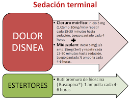 Busca tres testigos que firmen tu testamento vital.deben ser tres personas mayores de edad que firman el documento para dar fe de que lo haces libremente y en plenitud de facultades mentales. Presentacion Y Chuleta De Sedacion Terminal Mis Chuletas Medicas