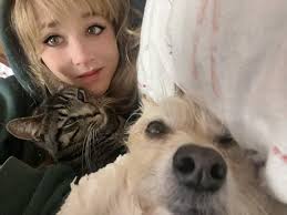 My son's cat Zorro got out of the car while I was waiting for my girlfriend  to get done donating plasma this morning. Been searching the woods but we  haven't found him.