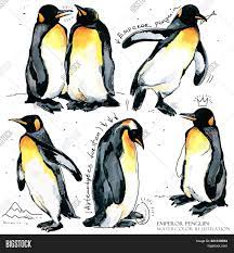 Maybe you would like to learn more about one of these? Emperor Penguin Hand Image Photo Free Trial Bigstock