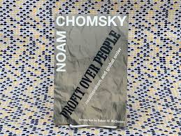 Noam Chomsky Profit Over People Neoliberalism and Global - Etsy