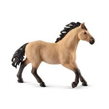 quarter horse stallion quarter horse quarter horse stallion horses