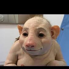 Noah Bray (@Noah__Bray03)