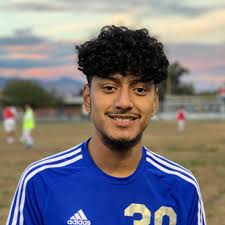 Faisal Osman's Palo Verde High School Bio