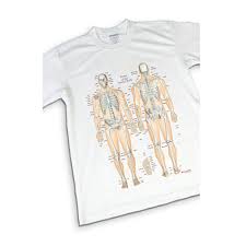 Anatomy T Shirt Bone Chart Design 2l Size Design T Shirt Interesting T Shirt Men Gap Dis Unique Physical Science Original Rare Is Rare