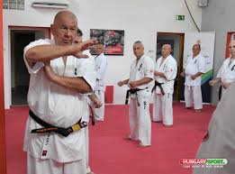 Minden álma volt, hogy olimpiai bajnok súlylökő lesz. 15 00 Gyasz Elhunyt Furko Kalman A Magyar Kyokushin Karate Egyik Megalapitoja Hungary Sport