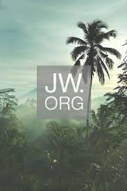 Island Palms With The Ocean In The Far Distance Regalos Para Testigos De Jehova Testigos De Jehova Jw Testigos De Jehova