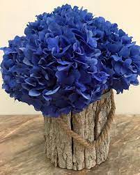 Check spelling or type a new query. Tropicana Flowers Dubai Florist Dubai United Arab Emirates 58 Photos Facebook