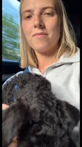 Terry the Kerry Blue Terrier Puppy Memories