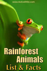 A List Of Incredible Rainforest Animals Some Are Beautiful Some Are Deadly Some Are Dow Rainforest Animals List Amazon Rainforest Animals Rainforest Animals