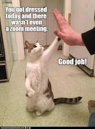 Nowadays, hilarious memes are spreading like wildfire all over the internet, and smart marketers use the opportunity to use these viral fragments of content to their advantage. Good Job Lolcats Lol Cat Memes Funny Cats Funny Cat Pictures With Words On Them Funny Pictures Lol Cat Memes Lol Cats