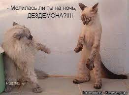 Молилась ли ты на ночь, ДЕЗДЕМОНА?!!!! / котоматрица / смешные картинки и  другие приколы: комиксы, гиф анимация, видео, лучший интеллектуальный юмор.