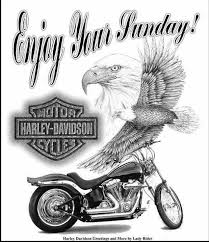#ride a bike quotes #bike quotes #harley davidson #storm quotes #highway quote #hurricane quotes #philosophic quotes #philosophical quotes #philosophically quotes #philosophy #philosophy quotes #pic quotes #pictures quotes #image quotes #inspiration quotes #quote #quotes #by. Enjoy Your Sunday Harley Davidson Logo Harley Davidson Shop Harley Bikes