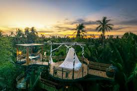 I look forward to building one with my son when he's older. Best Treehouse Hotels In The World Cool Treehouse Resorts You Can Book Thrillist