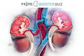 Image result for Hyperphosphatemia