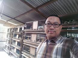 We did not find results for: Saung Topi Bambu Iche Gratis Belajar Ternak Burung Puyuh Di Tangerang