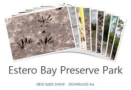 See all things to do. Estero Bay Preserve State Park Estero Florida